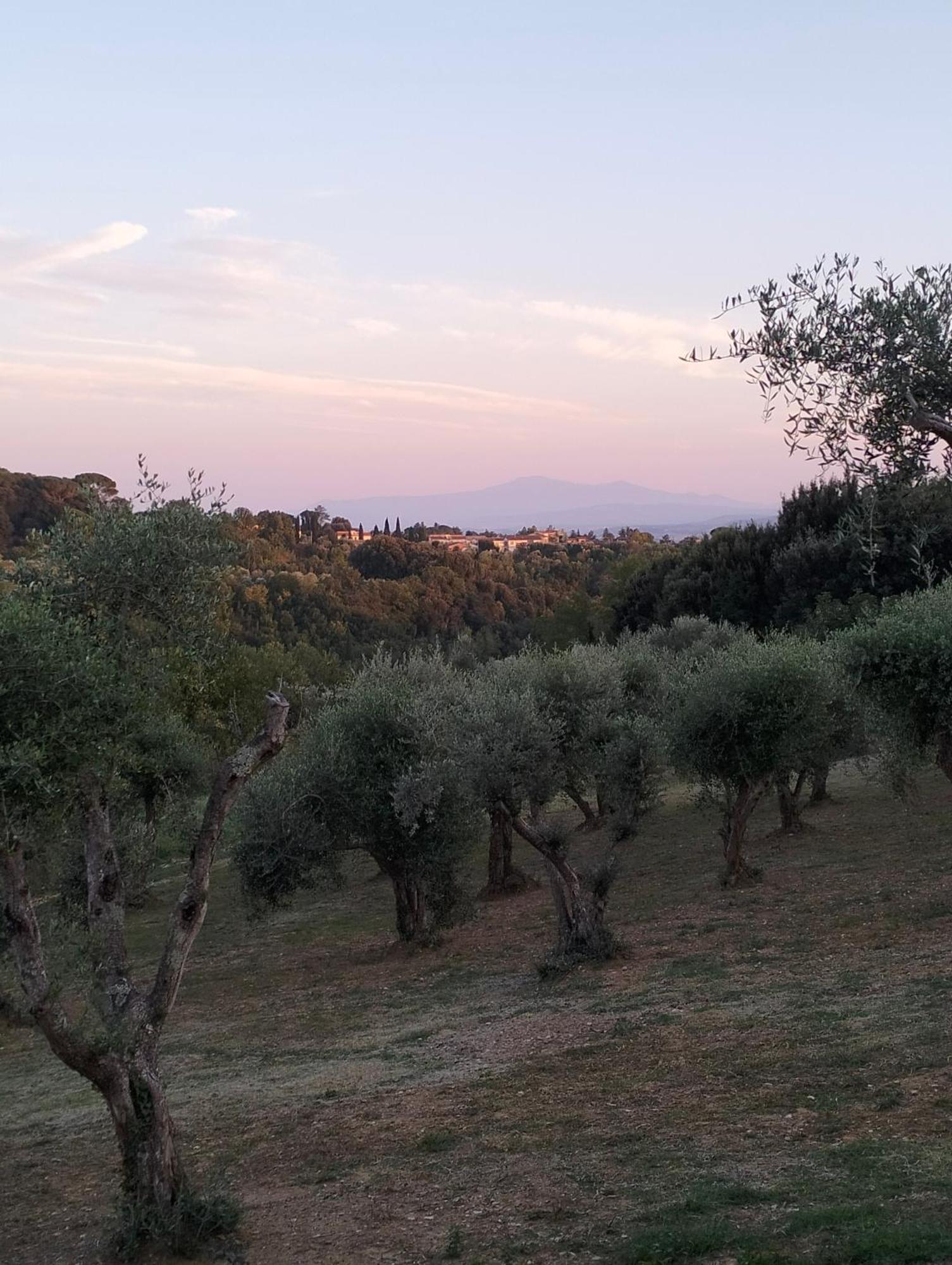 Apartmán Agli Olivi Di Marciano Siena Exteriér fotografie